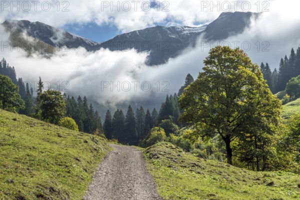 Hiking trail in the Dietersbachtal from Gerstruben to Alpe Dietersbach, Nebelschwanden hang in the valley, Oberstdorf, Allgäu Alps, Oberallgäu, Bavaria, Germany