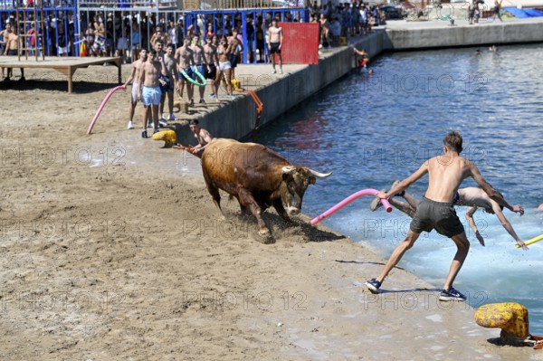 Bous a la Mar Fair, in English Bulls in the Sea, Bullfighting, Javea or Xàbia, Alicante Province, Comunidad Valenciana, Spain