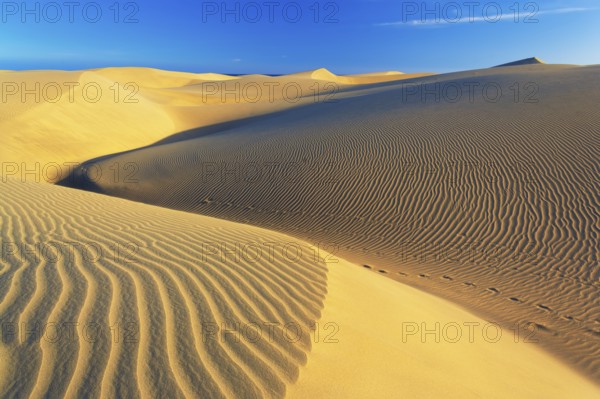 Sand dunes, Maspalomas, Playa del Ingles, Gran Canaria, Canary Islands, Spain