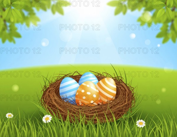 Nest with easter eggs in grass on a sunny spring day, Easter wallpaper decoration drawing, banner, panorama, background, abstract vector illustration, AI generated