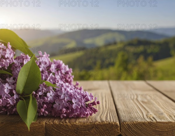 Beautiful Spring Lilacs Bloom Over Wooden Table with Rolling Hills in Background, sunrise at horizon, AI generated