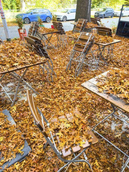 Autumn in town, car parked under deciduous tree, swamp oak, ground and vehicle covered with fallen leaves, Essen, North Rhine-Westphalia