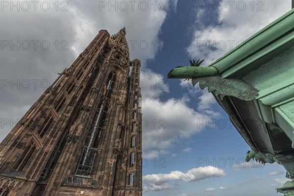 Strasbourg's Gothic cathedral stands majestically under a cloudy sky. In the background is an ornate and detailed iron gargoyle, which gives the scene a unique charm. Bas Rhin, Alsace, France
