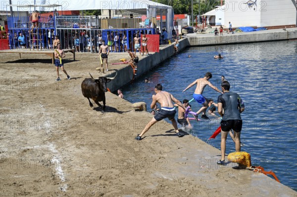 Bous a la Mar Fair, in English Bulls in the Sea, Bullfighting, Javea or Xàbia, Alicante Province, Comunidad Valenciana, Spain