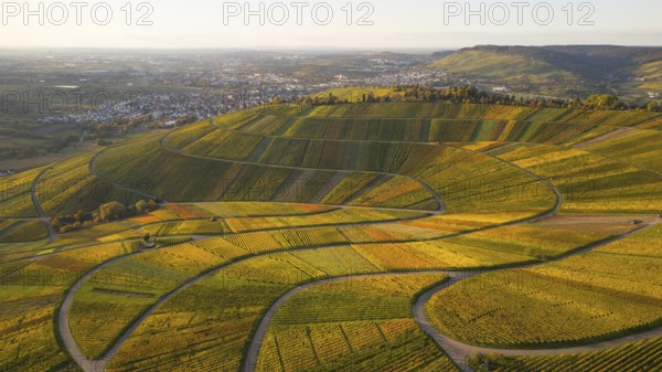 Golden autumn over the vineyards of Weinstadt Beutelsbach, Baden-Württemberg, Germany