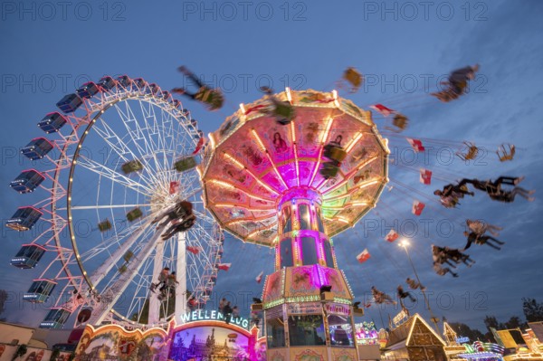 An illuminated chain carousel and Ferris wheel at night at a funfair, people swinging on chains, Bad Cannstatt, Stuttgart, Baden-Württemberg, Germany