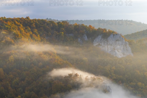 View from the Knopfmacherfels into the Danube valley, limestone rock, rock face, mixed forest, autumn colours, fog, autumn, Fridingen, Upper Danube nature park Park, Baden-Württemberg, Germany