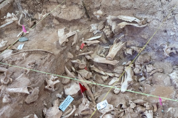 Beulah, Wyoming - The Vore Buffalo Jump, a sinkhole used by Plains Indians as a trap for bison from about 1550 through 1800. Archaeologists have uncovered thousands of bones, though only about 10 percent of the site has been excavated