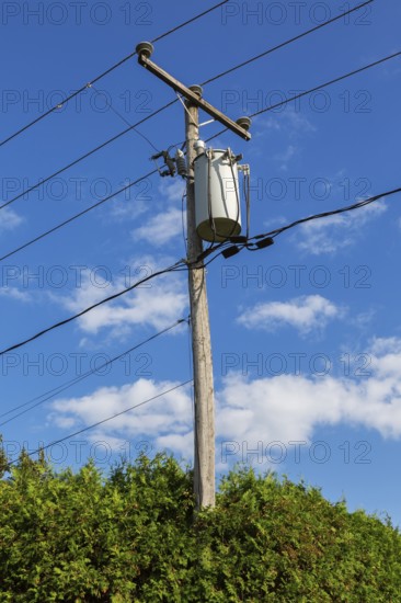 Electricity transformer, high voltage transmission wires, internet, telephone cables attached to wooden utility pole in Thuja - Cedar hedge, Quebec, Canada