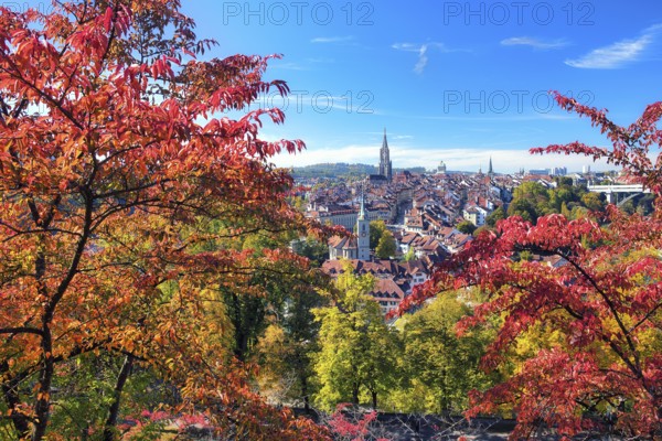 View of Bern's old town with colourful cherry trees, UNESCO World Heritage Site, Canton of Bern, Switzerland