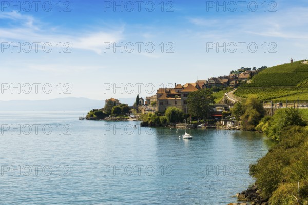 Picturesque village in the vineyards by the lake, Epesses, Lavaux, UNESCO World Heritage Site, Lake Geneva, Lac Léman, Canton of Vaud, Switzerland