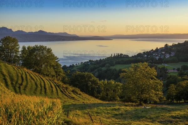 Panorama, Lake and mountains, Tour-de-Gourze, Riex, Sunset, Lavaux, UNESCO World Heritage Site, Lake Geneva, Lac Léman, Canton of Vaud, Switzerland