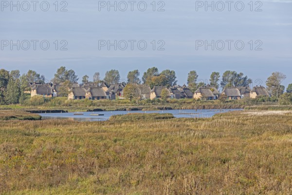 Holiday village Reetdorf Geltinger Birk, Geltinger Birk nature reserve, Geltinger Bucht, Schleswig-Holstein, Germany