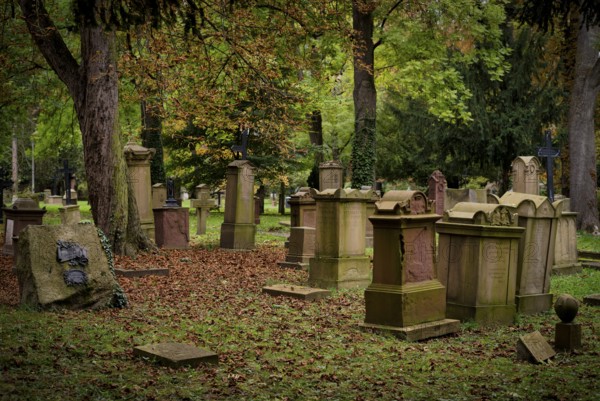 Gravestones, grave, graves, Hoppenlauf cemetery, oldest preserved cemetery in Stuttgart, autumn leaves, autumn, autumnal, Baden-Württemberg, Germany