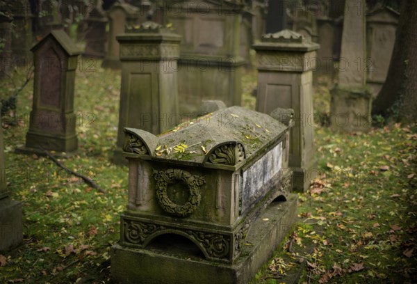 Gravestones, grave, graves, Israelite, Jewish cemetery, Hoppenlauf cemetery, oldest preserved cemetery in Stuttgart, autumn leaves, autumn, autumnal, Baden-Württemberg, Germany