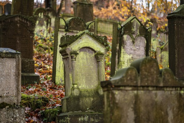 Moss-covered gravestones at the Bodenfelde Jewish cemetery, Northeim district, Lower Saxony, Germany