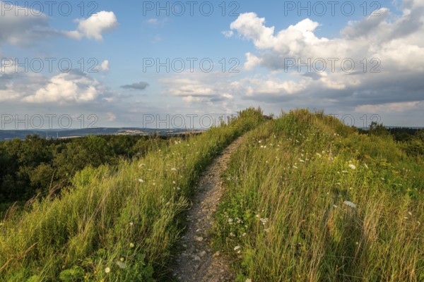 Hiking trail to the summit of the Steinberg under a blue sky with picturesque clouds, Extertal, North Rhine-Westphalia, Germany