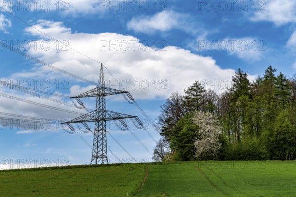 Electricity pylon above a green meadow next to a forest above Henkenbrink, blue sky with dramatic clouds, North Rhine-Westphalia, Germany