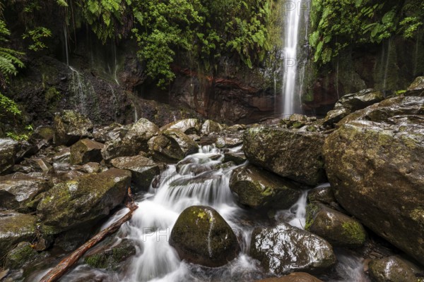 A large waterfall and many small watercourses pour down onto the rocks in the mystical 25 Fontes basin covered in ferns and moss, Levada das 25 Fontes (PR 6), Rabaçal nature reserve, Madeira, Portugal