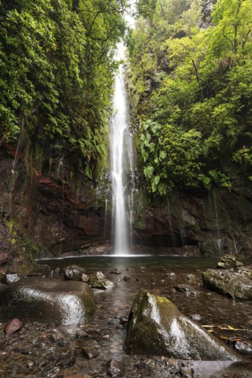 A large waterfall and many small watercourses pour down onto the rocks in the mystical 25 Fontes basin covered in ferns and moss, Levada das 25 Fontes (PR 6), Rabaçal nature reserve, Madeira, Portugal