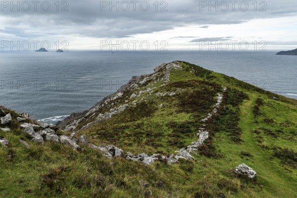 View over green meadows and a natural stone wall to the Atlantic Ocean and the Skellig Islands, Bolus Head Loop Walk, Iveragh Peninsula, County Kerry, Ireland