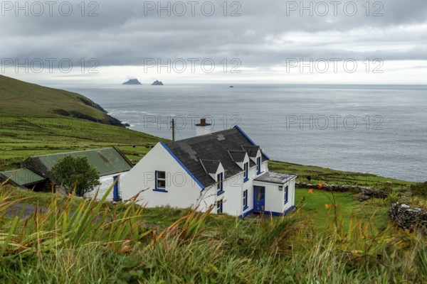 View over green meadows and a white cottage to the Atlantic Ocean and the Skellig Islands, Bolus Head Loop Walk, Iveragh Peninsula, County Kerry, Ireland