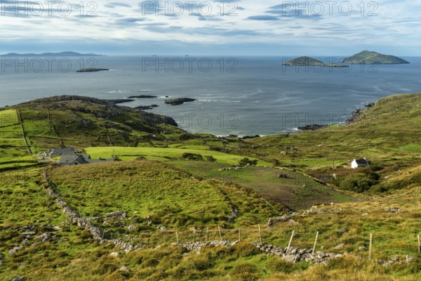 Elevated view over green meadows bordered by natural stone walls and typical cottages to the Atlantic Ocean with the islands of Scariff and Seenish, Ring of Kerry, Iveragh Peninsula, County Kerry, Ireland