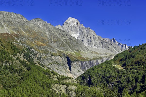 Aiguille du Chardonnet, front foothills of the Argentière glacier, Argentière, Chamonix-Mont-Blanc, Haute-Savoie, France