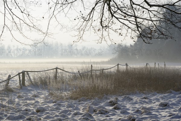 Winterlandschaft, aufsteigender Bodennebel im Licht der Morgensonne, Nordrhein-Westfalen, Deutschland