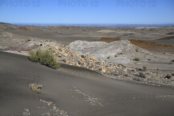 Wüstenlandschaft bei Pomona, im Hintergrund der Atlantik, Diamentensperrgebiet, bei Lüderitz, Region Karas, Namibia