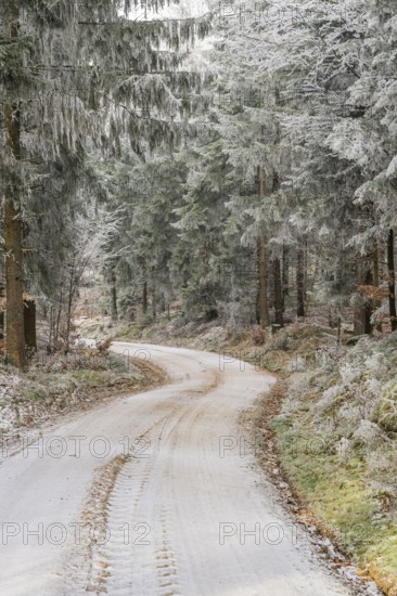 Forest road going through a mixed forest white from roarfrost on a sunny day in winter, Bavaria, Germany