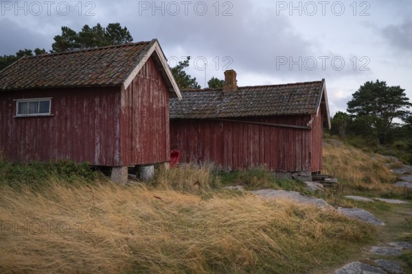 Falun red or Swedish red boathouses by the sea, Resö Island, Bohuslän, Skagerrak, Sotenäs, Västra Götalands län, Sweden