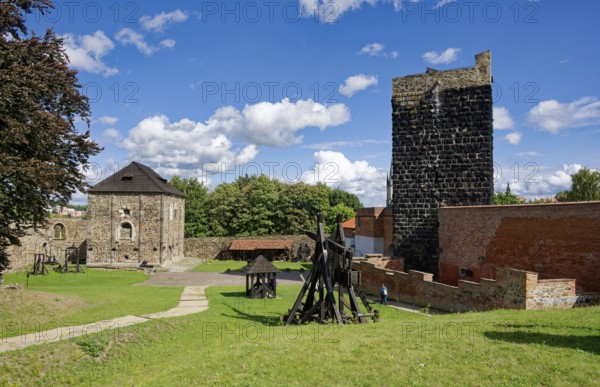 Keep, Black Tower and Staufer Imperial Palace in the Romanesque style, double chapel, castle complex and fortifications, Cheb, Eger, Egerland, Bohemia, Czech Republic, Czech Republic