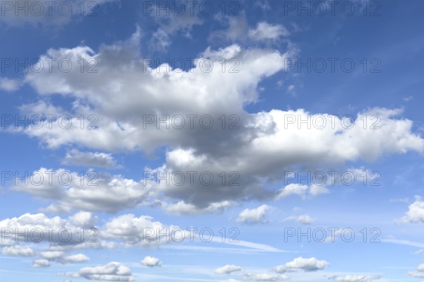 White light-coloured cumulus clouds Cumulus clouds Dense water clouds under a blue sky, international