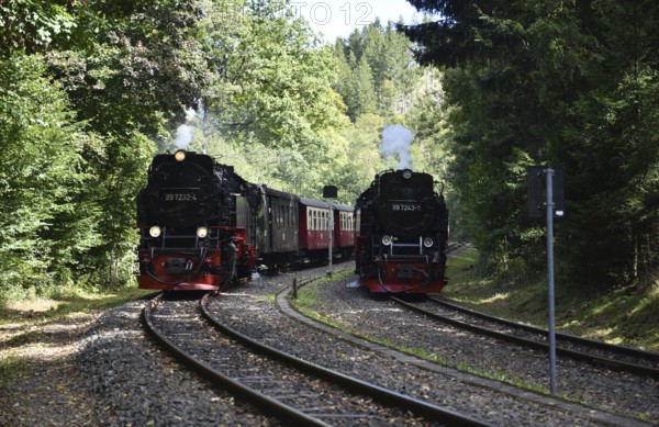 Steam locomotive, steam locomotives double exit on the Harz Narrow Gauge Railway, HSB, in the Harz Mountains near Eisfelder Talmühle, Thuringia, Germany