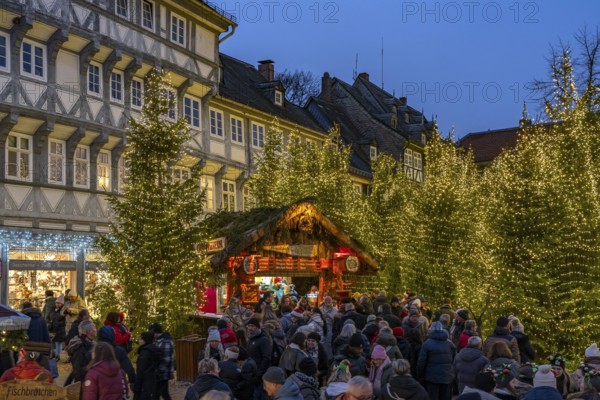 Christmas market and Christmas forest in the old town centre of Goslar at dusk, Lower Saxony, Germany