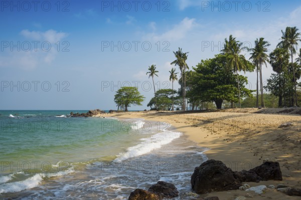 Sandy beach beach and coconut palms, Secret Beach, Sala Dan, Ko Lanta, Koh Lanta, Krabi Province, Southern Thailand, Andaman Sea, Thailand
