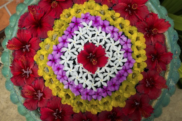 Flower decoration made of blossoms in a luxury resort, Klong Khong Beach, Sala Dan, Ko Lanta, Koh Lanta, Krabi Province, Southern Thailand, Andaman Sea, Thailand