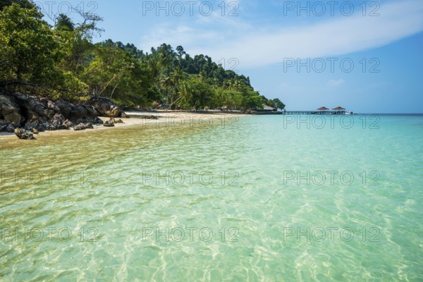 White sandy beach and coconut palms, Sunrise Beach, Koh Great white shark, Ko Ngai, Krabi Province, Trang, Southern Thailand, Andaman Sea, Thailand