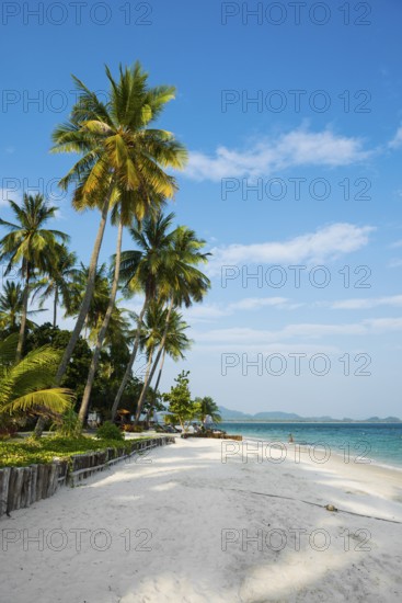 White sandy beach and coconut palms, Pearl Beach, Koh Mook, Trang Province, Southern Thailand, Andaman Sea, Thailand