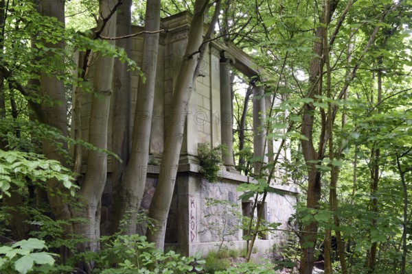 Ruin, castle ruin of Dwasieden Castle on Rügen, Mecklenburg-Western Pomerania, Germany