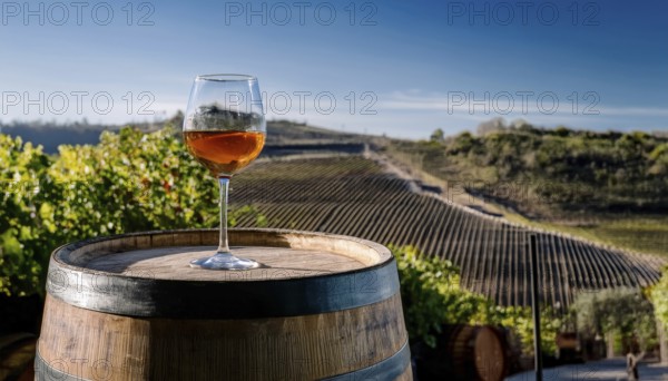 Glass of 10-year-old tawny wine placed on a barrel in a vineyard restaurant, AI generated