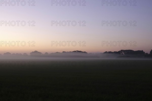 Landscape with morning fog, Summer, Saxony, Germany