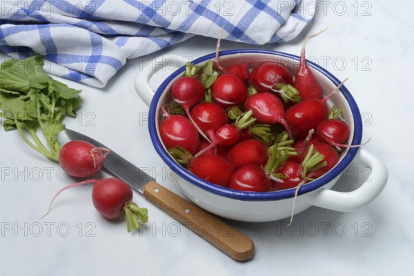 Radish in skin, in water, Raphanus sativus