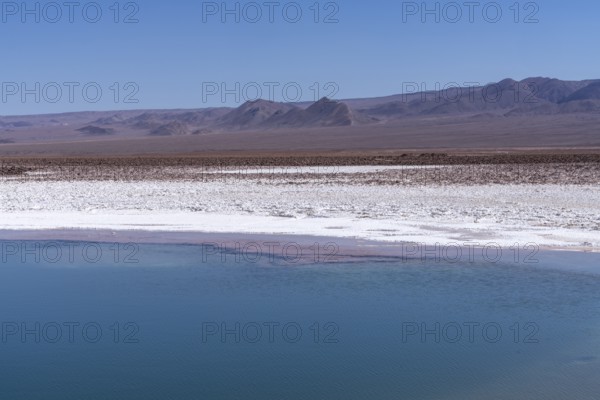 Coloured salt formations at the Lagunas Escondidas de Baltinache, Atacama Desert, Toconao, San Pedro de Atacama, Región de Antofagasta, Chile