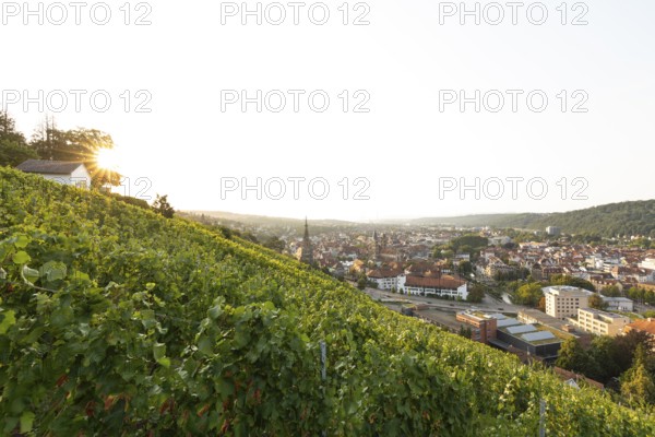 Sunrise over the vineyards of Esslingen am Neckar