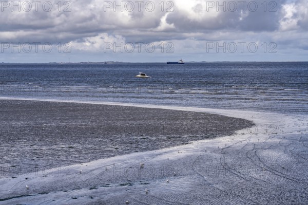 Wadden Sea between the Dutch coast near Eemshaven and the German North Sea island of Borkum, Wadden Sea National Park, UNESCO World Heritage Site, low tide, low water, clouds