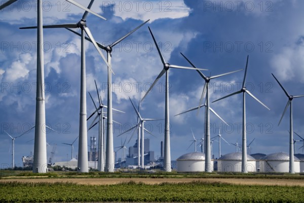 Wind farms Westereems and Growind, in the north of the Netherlands, near Eemshaven, energy centre, in addition to wind energy there are coal and gas-fired power plants and various energy infrastructure facilities, Netherlands