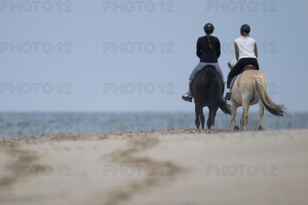 Two riders on the beach, near Hvide Sande, North Sea, Denmark
