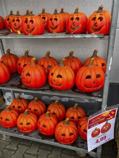 Mülheim, North Rhine-Westphalia, Germany - Decorative pumpkins for Halloween on 31 October were already on sale in a shop at the beginning of August